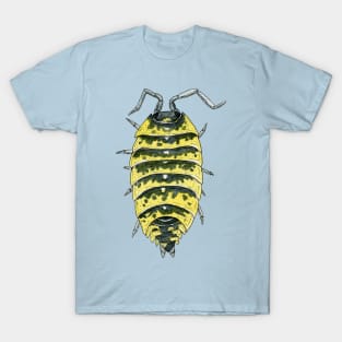 Porcellio ornatus Isopod, high yellow T-Shirt